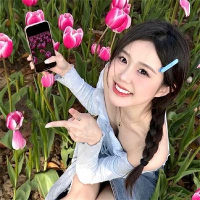 梦之森林 海报